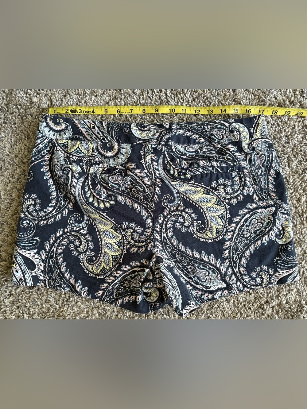 Banana Republic Hampton Fit Paisley Blue Shorts Size 10